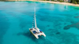 Barbados Rum Cake Tiami